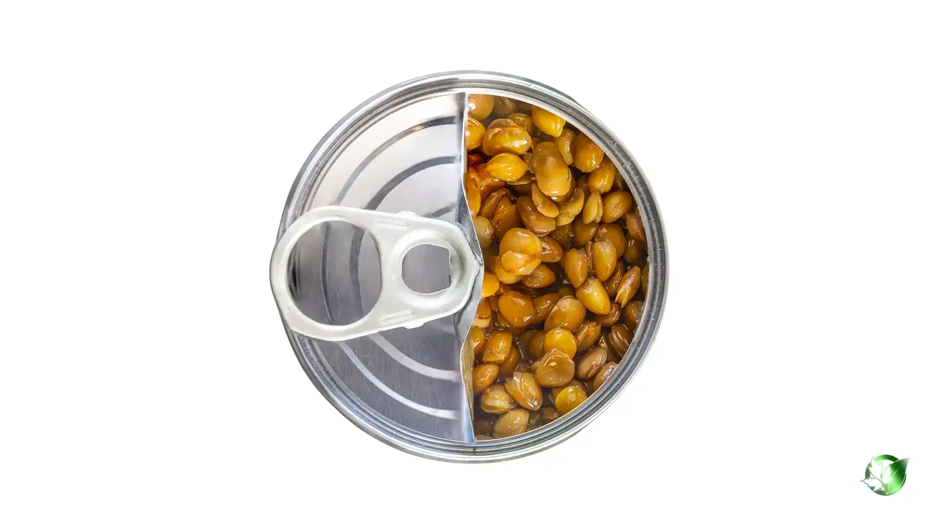 Bulk Canned Lentils | Suppliers | Wholesale | ParsaFood Global